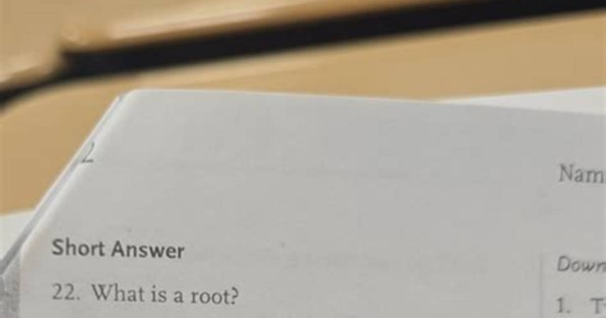 What Is Root Short Answer
