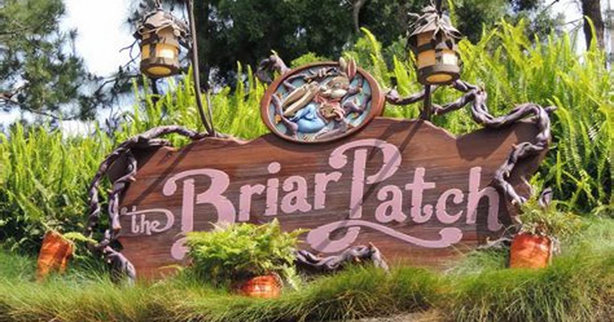 What Is S Briar Patch?