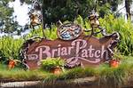 What Is S Briar Patch?