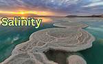 What Is Salinity Definition?