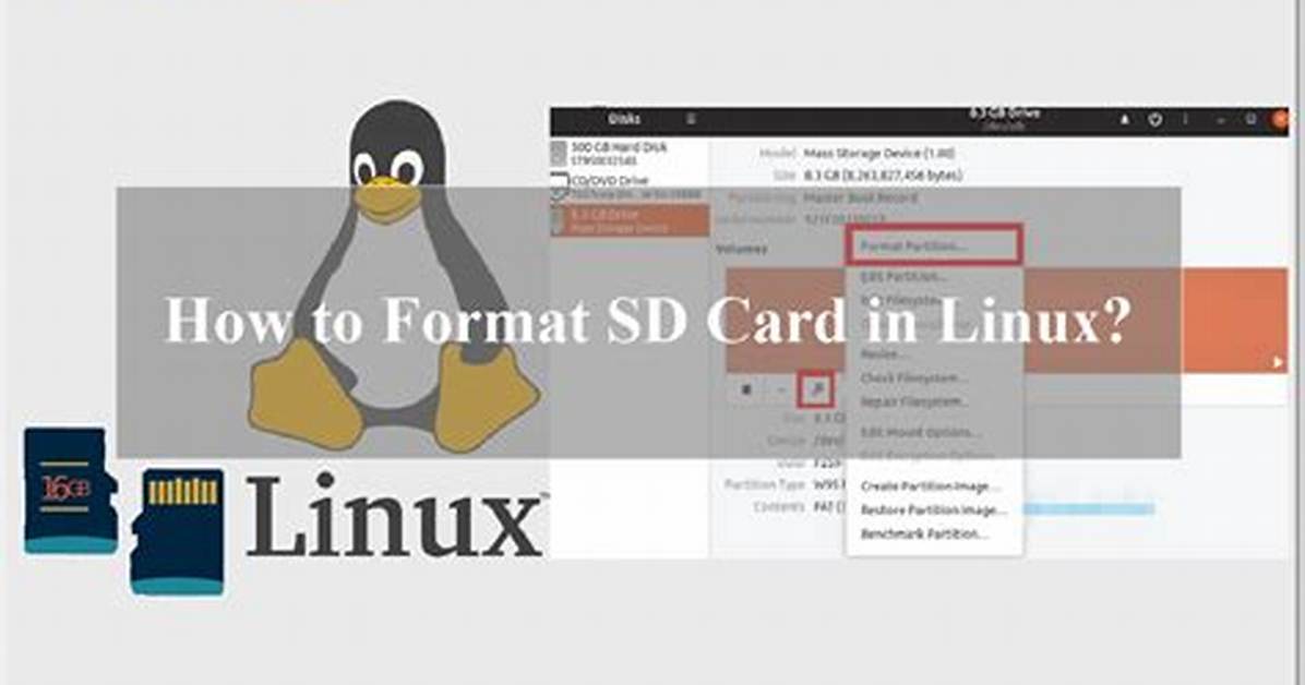 What Is Sd in Linux?