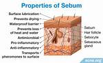 What Is Sebum and How Do I Control It?