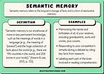 What Is Semantic Memory?