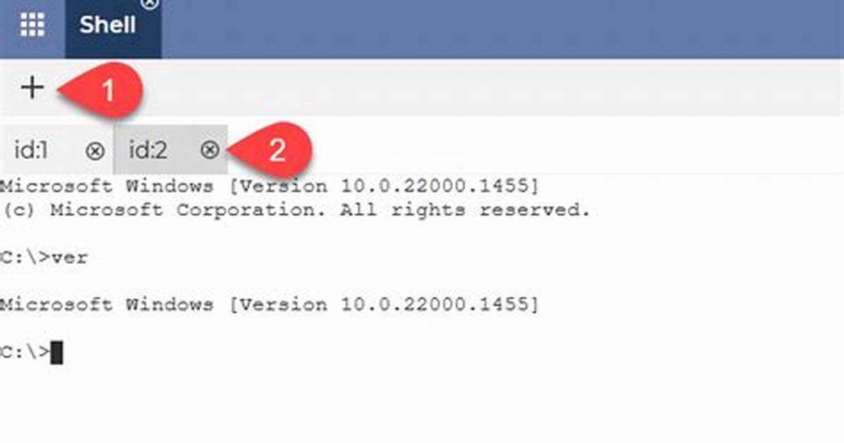 What Is Shell Application