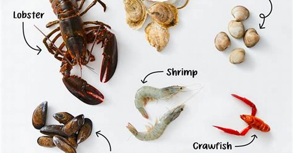 What Is Shellfish