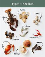 What Is Shellfish