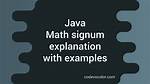 What Is Signum in Java?