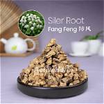 What Is Siler Root?