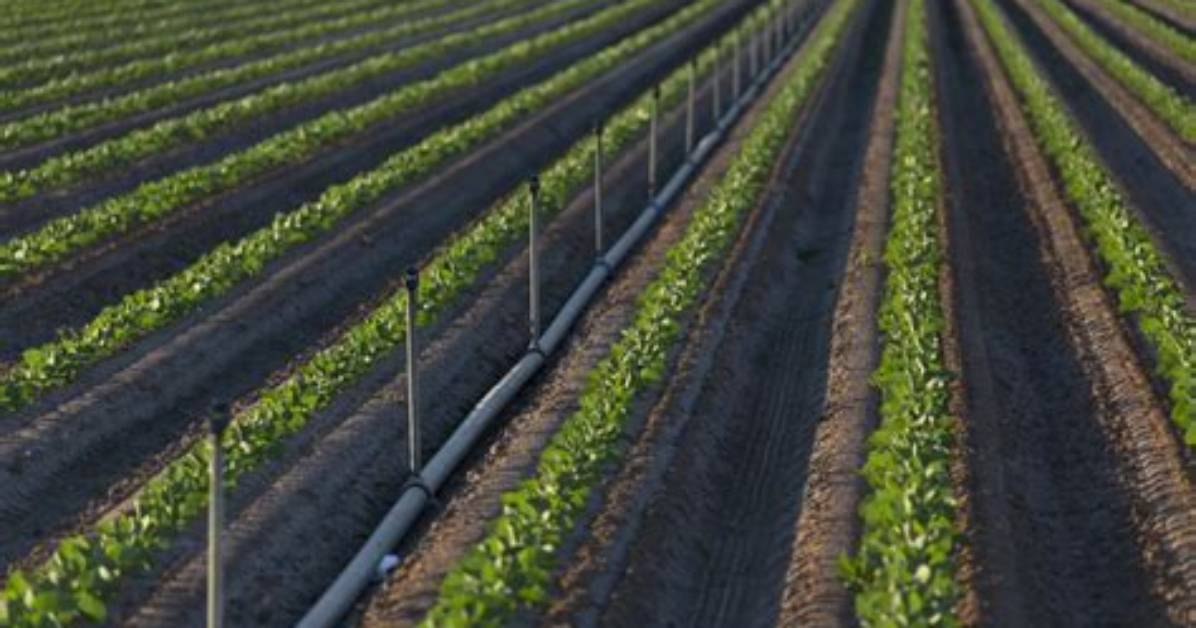 What Is Solid Set Irrigation?
