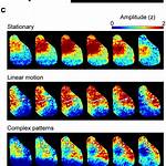 What Is Spatiotemporal Patterns?