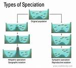 What Is Speciation