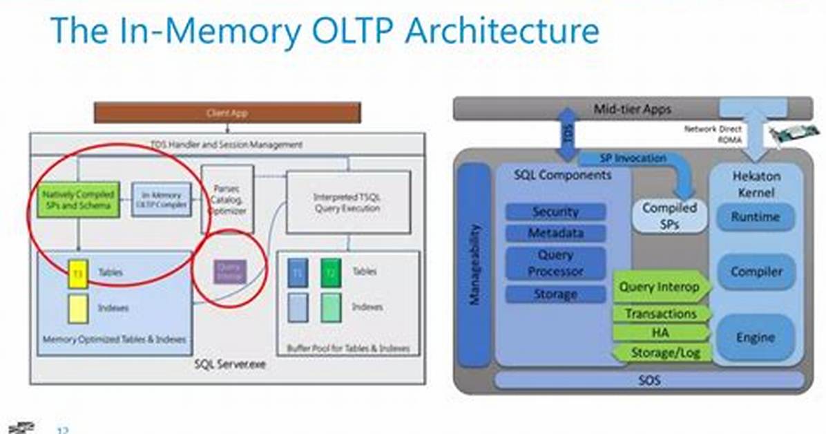 What Is Sql Oltp