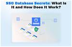 What Is Sso Database