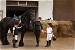 What Is Stable Training