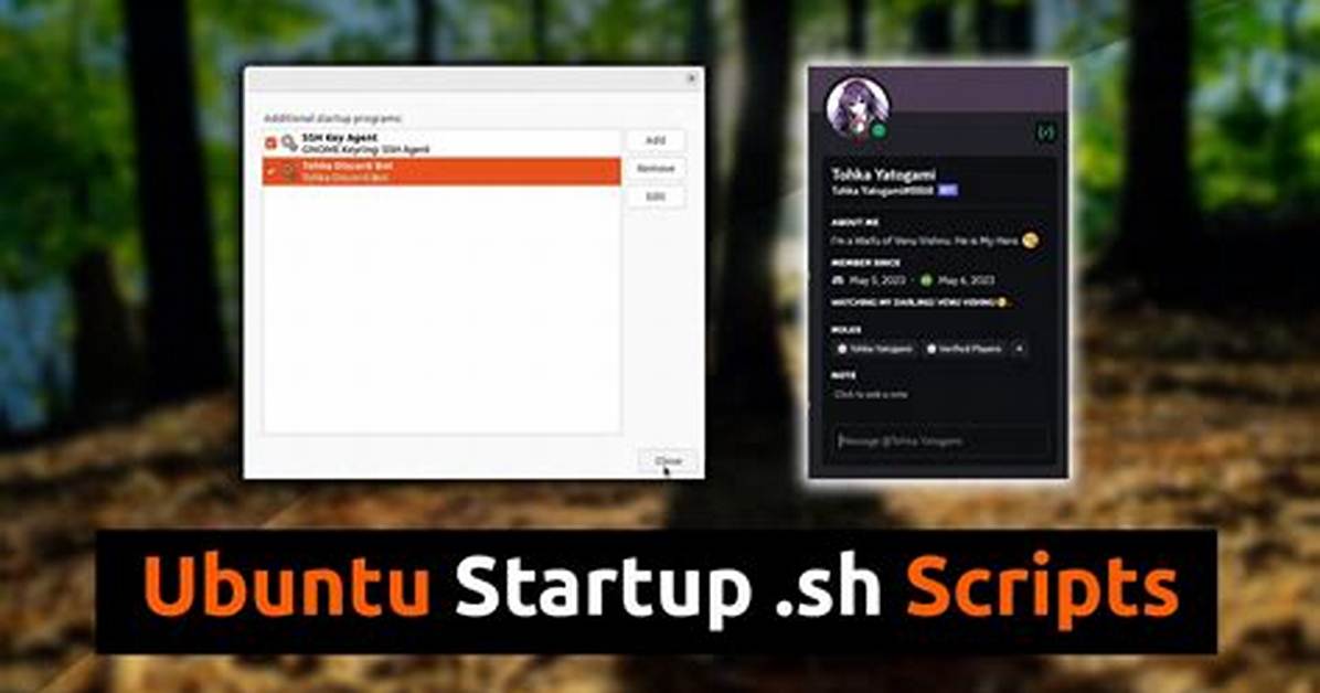 What Is Startup Script in Linux?