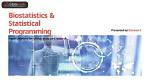What Is Statistical Programming