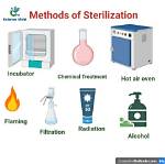 What Is Sterilization Method