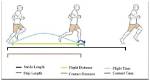 What Is Stride Frequency?