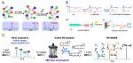 What Is Structural Elucidation?