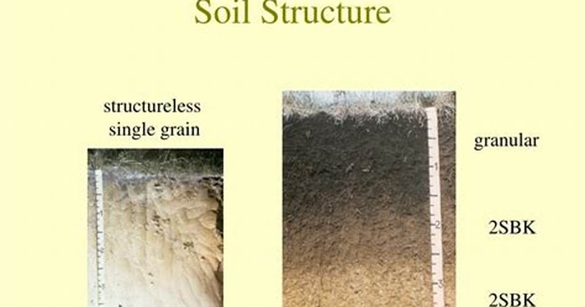 What Is Structureless Soil?