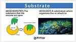 What Is Substrate