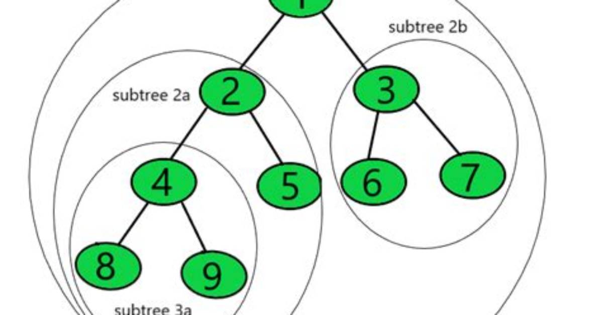 What Is Subtree in Binary Tree?