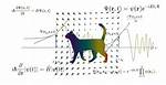What Is Superposition