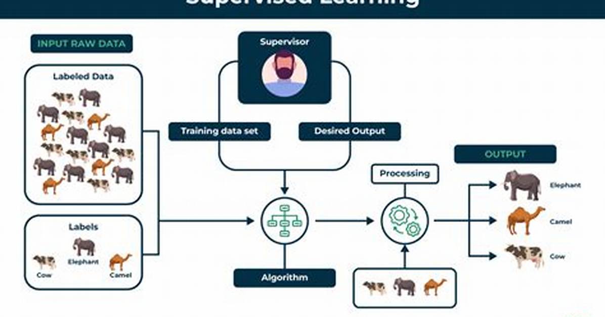 What Is Supervised Machine Learning?