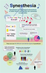What Is Synesthesia Mean?