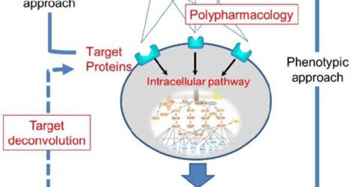 What Is Target Deconvolution?