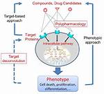 What Is Target Deconvolution?