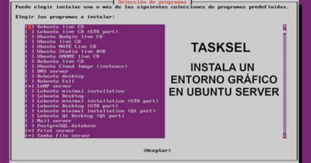 What Is Tasksel Basic Ubuntu Server?