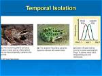 What Is Temporal Isolation