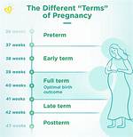 What Is Term Gestation