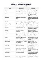 What Is Terminology Example?