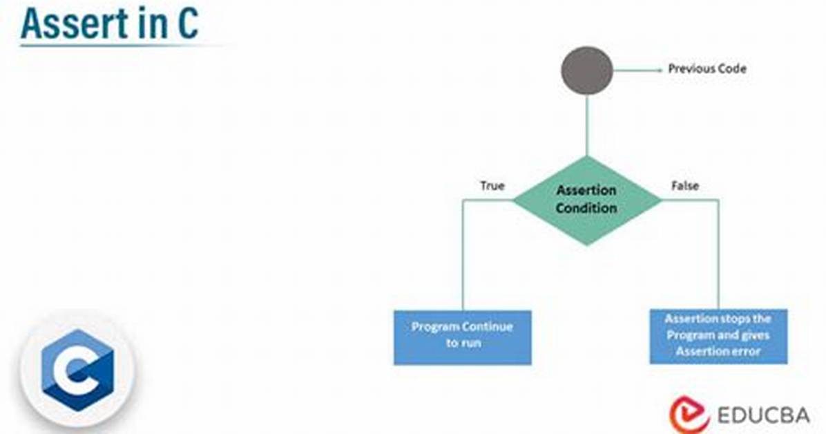 What Is the "Assert" Function?