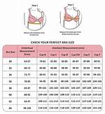 What Is the Average Bra Size for a 13 14 Year Old?