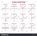 What Is the Basic Function of the Thalamus?