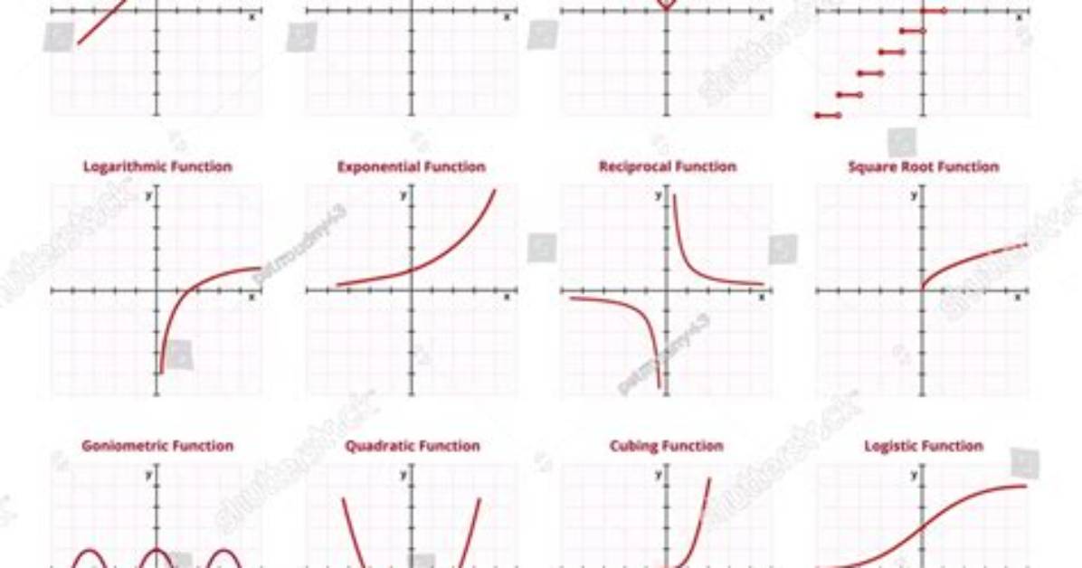 What Is the Basic Function