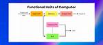 What Is the Basic Functional Unit of Myofibril Quizlet? Check This out | What Is the Basic Functional Unit of a Myofibril?