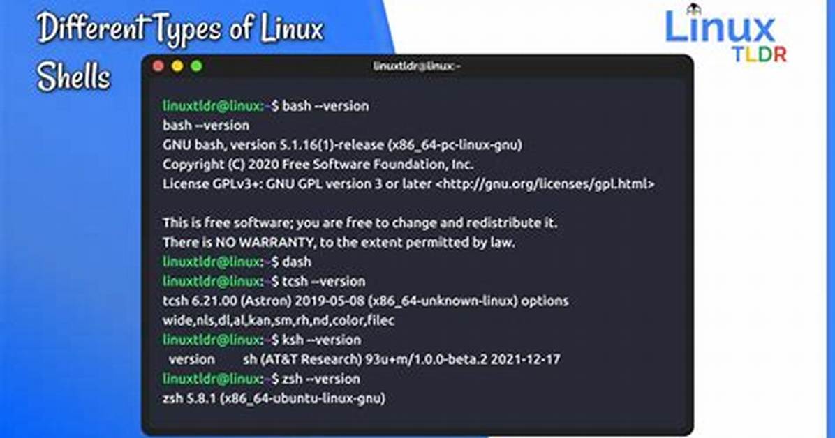 What Is the Best Linux Shell?