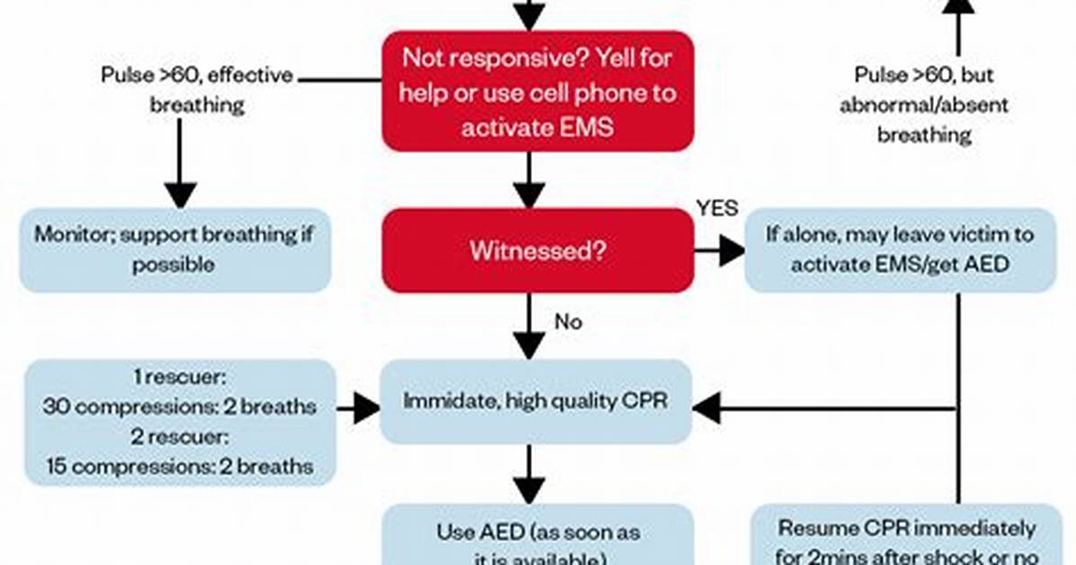 What Is the Bls Algorithm