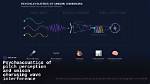 What Is the Chorusing Effect?
