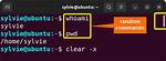 What Is the Clear Command in Linux?