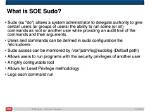 What Is the Default Path for Sudo Command?
