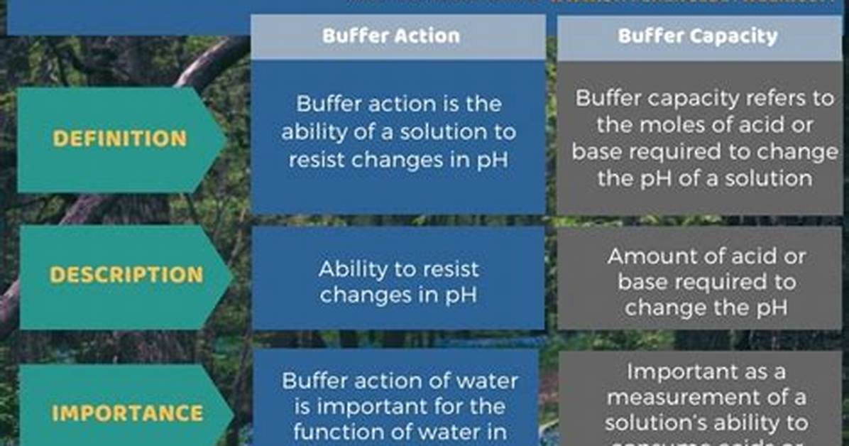 What Is the Difference Between a Buffer and a Grinder?