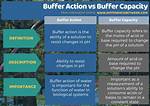 What Is the Difference Between a Buffer and a Grinder?
