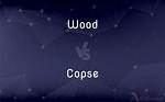 What Is the Difference Between a Copse and a Spinney?