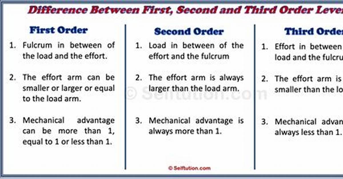 What Is the Difference Between a Second Level Consumer and a Third Level Consumer?