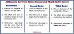 What Is the Difference Between a Second Level Consumer and a Third Level Consumer?